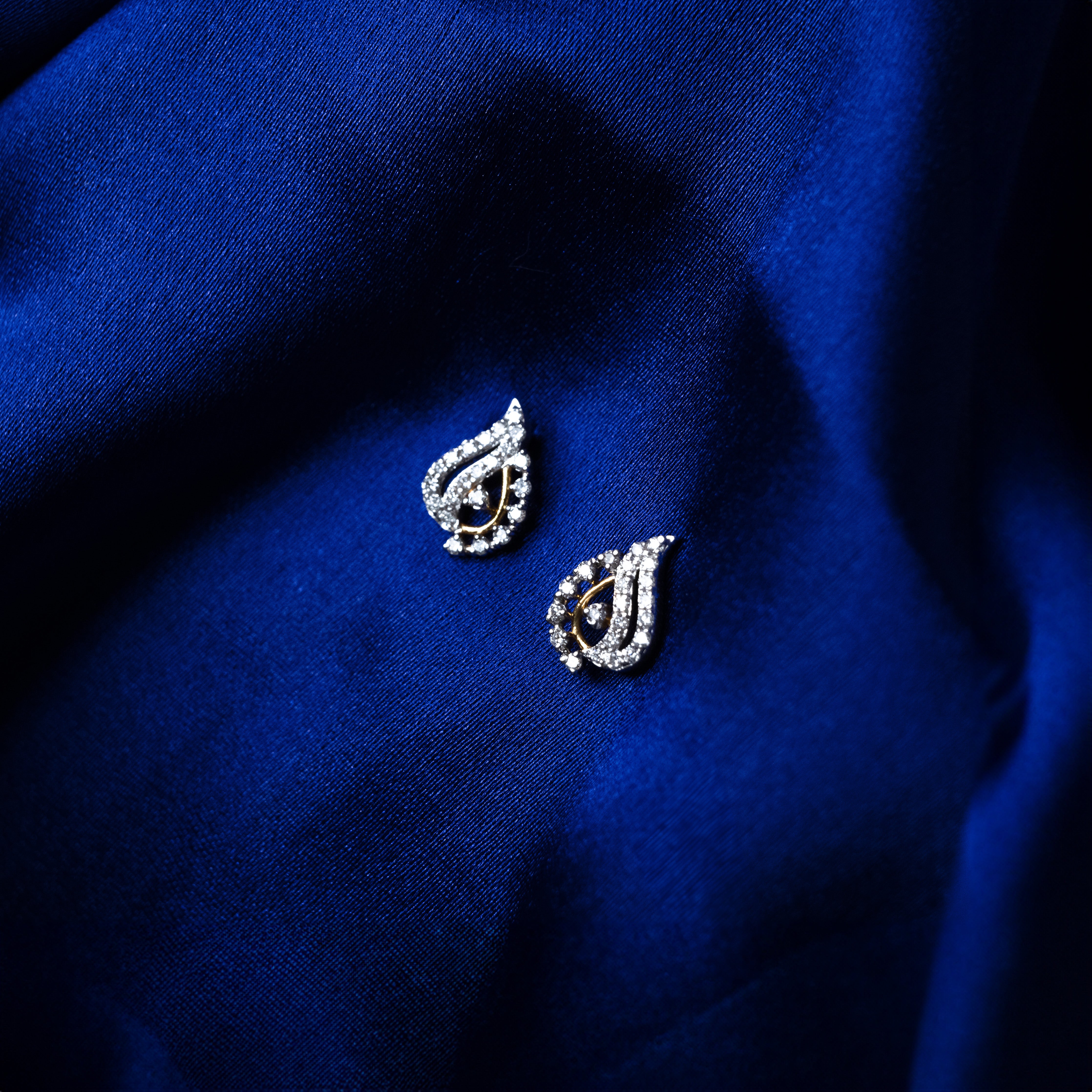Coral of Life Earrings