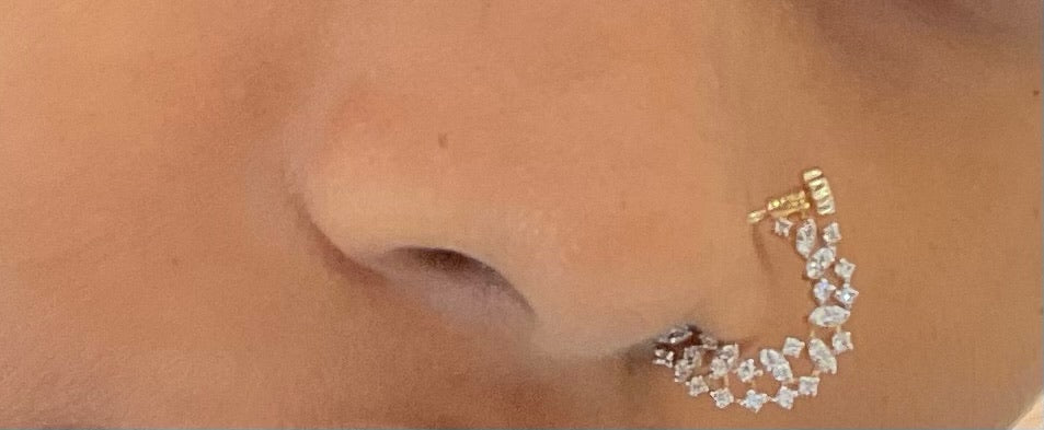 Nose Pin 2
